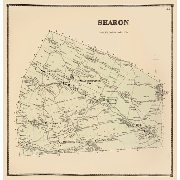 Historic City Map - Sharon New York - Stone 1866 - 23 x 23.74 - Vintage Wall Art