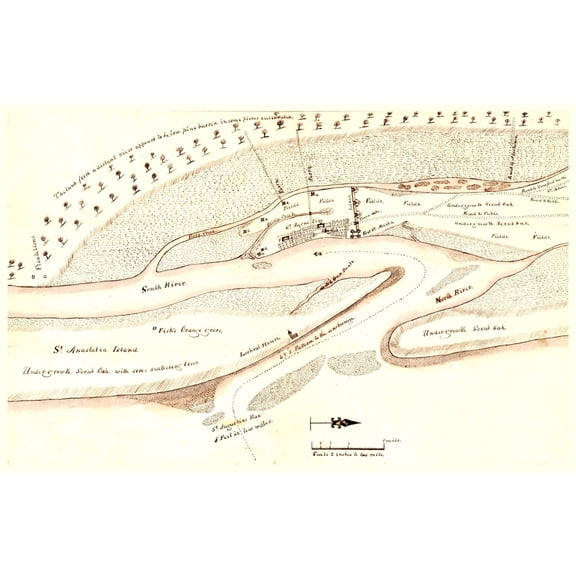Historic City Map - St Augustine Florida - Birch 1819 - 35.91 x 23 - Vintage Wall Art