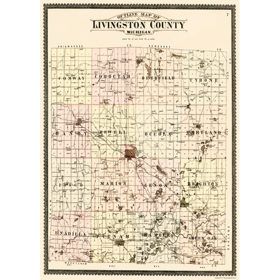 Historic County Map - Livingston County Michigan - Ogle 1895 - 23 x 32.29 - Vintage Wall Art