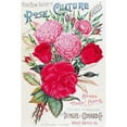 thumbnail image 1 of Historic Dingee and Conard Co. rose bulb and seed catalog from 19th century. Poster Print, 1 of 2