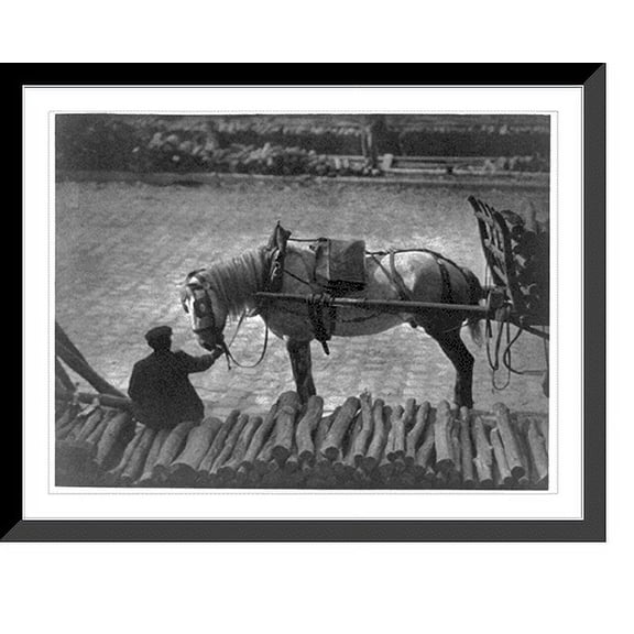 Historic Framed Print, A snapshot, Paris, 1911.Alfred Stieglitz. - 2, 17-7/8" x 21-7/8"