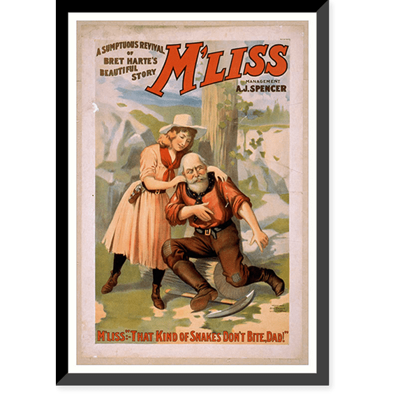 Historic Framed Print, A sumptuous revival of Bret Hartes beautiful story Mliss, 17-7/8" x 21-7/8"