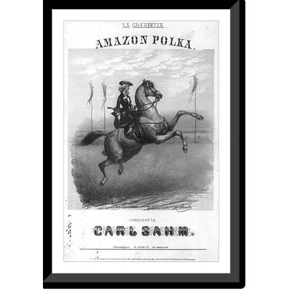 Historic Framed Print, Amazon Polka, 17-7/8" x 21-7/8"