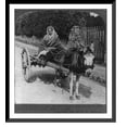 thumbnail image 1 of Historic Framed Print, An old mother of Erin in her donkey cart going to her son's funeral, County Kerry, Ireland, 17-7/8" x 21-7/8", 1 of 9