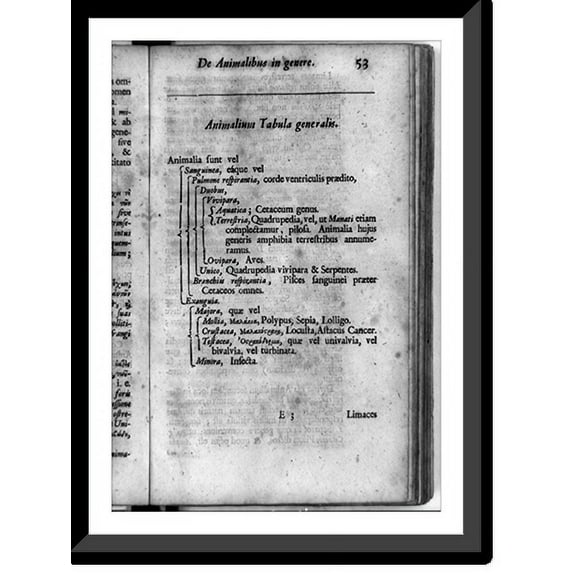 Historic Framed Print, Animalium tabula generalis, 17-7/8" x 21-7/8"