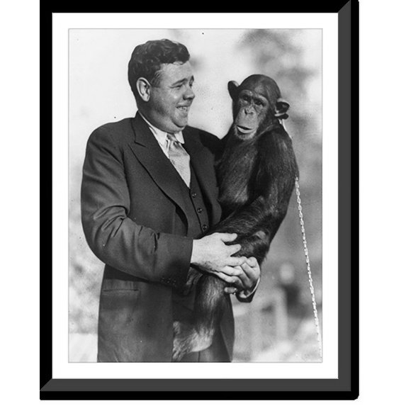 Historic Framed Print, Babe Ruth never misses out on anything, 17-7/8" x 21-7/8"