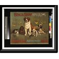 thumbnail image 1 of Historic Framed Print, Bench show. New England Kennel Club, 17-7/8" x 21-7/8", 1 of 9
