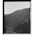 thumbnail image 1 of Historic Framed Print, Buckhorn Wall - 3, 17-7/8" x 21-7/8", 1 of 9