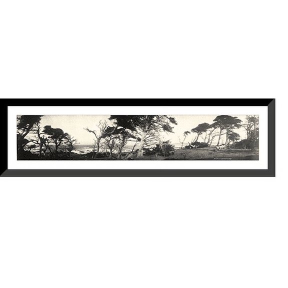 Historic Framed Print, CA Cypress Point Monterey 1907 PHOTO, 36-3/8" x 8-3/8"