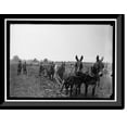 thumbnail image 1 of Historic Framed Print, CAMP DIX #2. MISC. VIEWS - 2, 17-7/8" x 21-7/8", 1 of 9