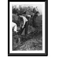 thumbnail image 1 of Historic Framed Print, CCC enrollees doing soil conservation work, 17-7/8" x 21-7/8", 1 of 9