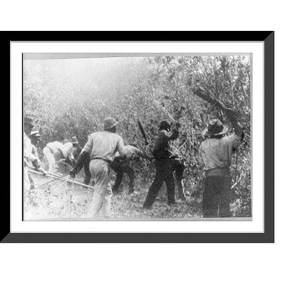 Historic Framed Print, Canal Zone, Republic of Panama: Machete men clearing a jungle, 17-7/8" x 21-7/8"
