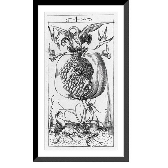 Historic Framed Print, [Card no. 1 showing one allegorical pomegranate], 17-7/8" x 21-7/8"