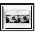thumbnail image 1 of Historic Framed Print, Catholic Cathedral in ruins. scene of a terrible massacre, Peking, China, 17-7/8" x 21-7/8", 1 of 9