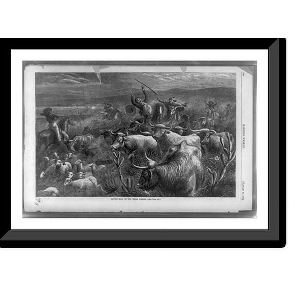Historic Framed Print, Cattle raid on the Texas border - 2, 17-7/8" x 21-7/8"