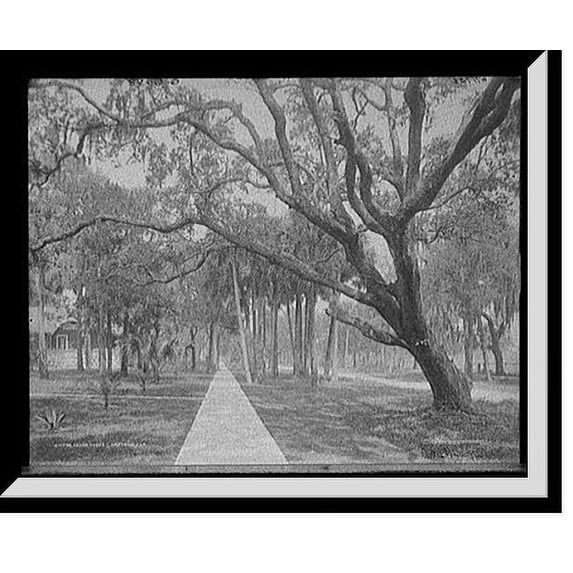 Historic Framed Print, Cedar Street, Daytona, Fla., 17-7/8" x 21-7/8"