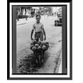 thumbnail image 1 of Historic Framed Print, Coconuts, Key West, Florida, 17-7/8" x 21-7/8", 1 of 9