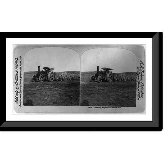 Historic Framed Print, Cuba - Hauling sugar cane to the mill, 17-7/8" x 21-7/8"