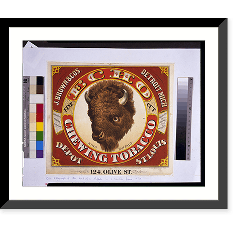 Historic Framed Print, Echo chewing tobacco. King buffalo. Fine cut.St.  Louis Democrat Label Press. - 2, 17-7/8