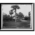 thumbnail image 1 of Historic Framed Print, Golf links, Hotel Royal Poinciana, Palm Beach, Fla. - 3, 17-7/8" x 21-7/8", 1 of 9