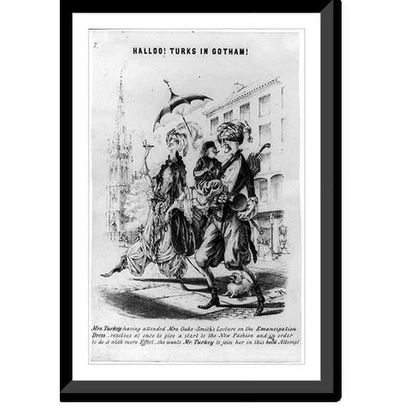 Historic Framed Print, Halloo! Turks in Gotham, 17-7/8" x 21-7/8"