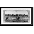 thumbnail image 1 of Historic Framed Print, He is our meat (Antelope), 17-7/8" x 21-7/8", 1 of 9