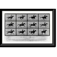 thumbnail image 1 of Historic Framed Print, The Horse in motion. Sallie Gardner, owned by Leland Stanford; running at a 1:40 gait over the Palo Alto track, 19th June 1878.Muybridge., 17-7/8" x 21-7/8", 1 of 9