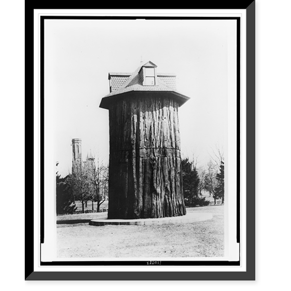 Historic Framed Print, [House made out of section of trunk of General Noble redwood tree, with Smithsonian Castle in background, Washington, D.C.], 17-7/8" x 21-7/8"