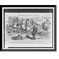 thumbnail image 1 of Historic Framed Print, How the street-cleaning authorities in New York guard against summer epidemics.Opper., 17-7/8" x 21-7/8", 1 of 9