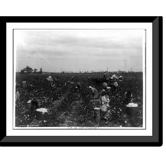 Historic Framed Print, In de lan' o' cotton"", 17-7/8" x 21-7/8"