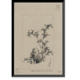 thumbnail image 1 of Historic Framed Print, [Japanese drawing] - 111, 17-7/8" x 21-7/8", 1 of 9