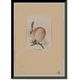 thumbnail image 1 of Historic Framed Print, [Japanese drawing] - 47, 17-7/8" x 21-7/8", 1 of 9