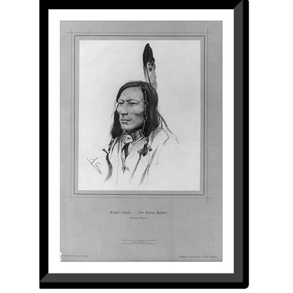 Historic Framed Print, Kauri-cikala. Die kleine Krähe", 17-7/8" x 21-7/8"