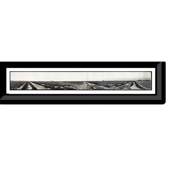 Historic Framed Print, LA Louisiana Rice Fields 1910 PHOTO, 36-3/8" x 8-3/8"