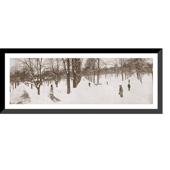 Historic Framed Print, MA Boston Common 1904, 17-7/8" x 21-7/8"