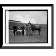 thumbnail image 1 of Historic Framed Print, Mascots at Army-Navy game, 11/29/24, 17-7/8" x 21-7/8", 1 of 9