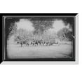 thumbnail image 1 of Historic Framed Print, Mexican carreta, Chihuahua, 17-7/8" x 21-7/8", 1 of 9