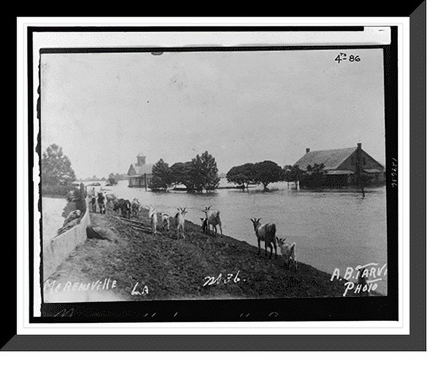 Historic Framed Print, Moreauville, La., on Bayou des Glaises - town flooded by crevasse waters ...