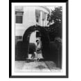 thumbnail image 1 of Historic Framed Print, [Mrs. Herbert Hoover, full-length portrait, standing, facing left; with German shepherd dog, under arch of hedge outside the White House], 17-7/8" x 21-7/8", 1 of 9
