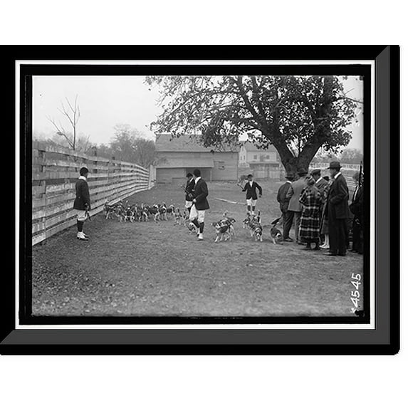 Historic Framed Print, NATIONAL BEAGLE CLUB OF AMERICA. BELLRAY, I.E., BELMONT, AND WHEATLEY PACKS, 17-7/8" x 21-7/8"