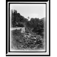 thumbnail image 1 of Historic Framed Print, On the road to the Botanical Gardens, Martinique, W.I., 17-7/8" x 21-7/8", 1 of 9