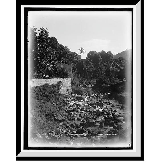 Historic Framed Print, On the road to the Botanical Gardens, Martinique, W.I., 17-7/8" x 21-7/8"