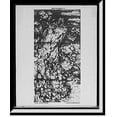 thumbnail image 1 of Historic Framed Print, Peacock window, 17-7/8" x 21-7/8", 1 of 9