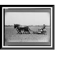 thumbnail image 1 of Historic Framed Print, Planting tomatoes, Wabash Farms, Indiana, 17-7/8" x 21-7/8", 1 of 9