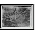thumbnail image 1 of Historic Framed Print, Political execution . Mexico, 17-7/8" x 21-7/8", 1 of 9