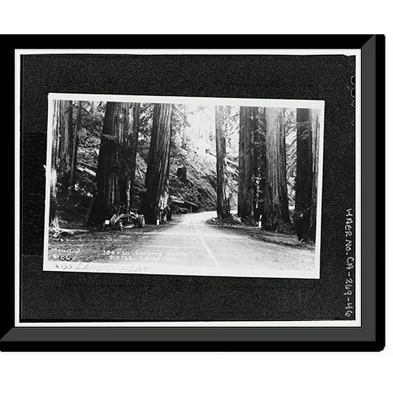 Historic Framed Print, Redwood National & State Parks Roads, California coast from Crescent City to Trinidad, Crescent City, Del Norte County, CA - 46, 17-7/8" x 21-7/8"