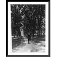 thumbnail image 1 of Historic Framed Print, [Retired president of Princeton, James McCosh, walking on campus of Princeton, with cane], 17-7/8" x 21-7/8", 1 of 9