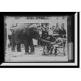 thumbnail image 1 of Historic Framed Print, [Sheba eating out of children's hand], 17-7/8" x 21-7/8", 1 of 9
