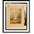 thumbnail image 1 of Historic Framed Print, Spring. Burning fallen trees in a girdled clearing. Western scene.engraved by W.J. Bennett N.A. from the original painting by G. Harvey A.N.A., 17-7/8" x 21-7/8", 1 of 9