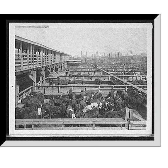 Historic Framed Print, Stock yards, Kansas City, Mo., 17-7/8" x 21-7/8"